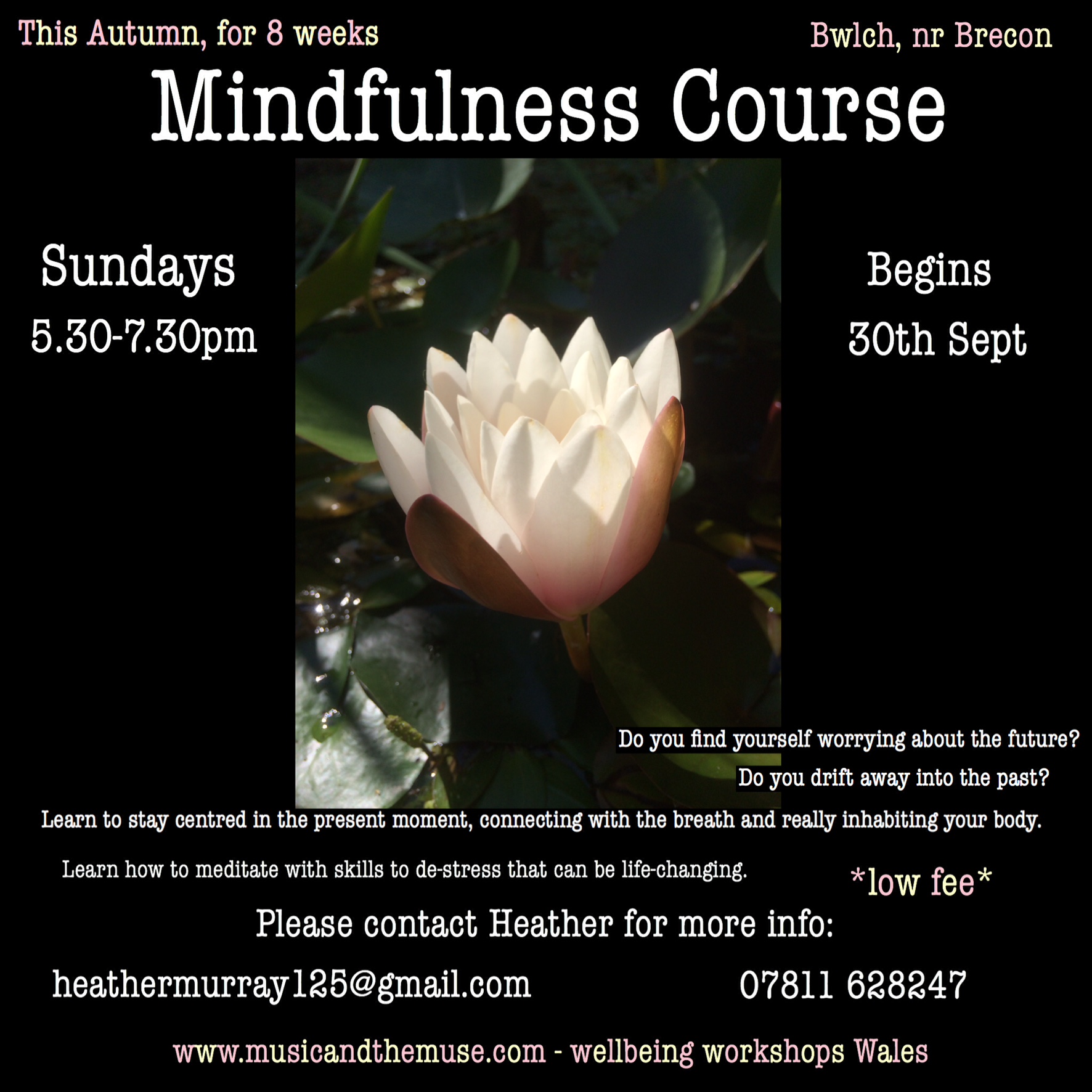 16D0388F-0B53-4ED5-9239-BEC9137E4749